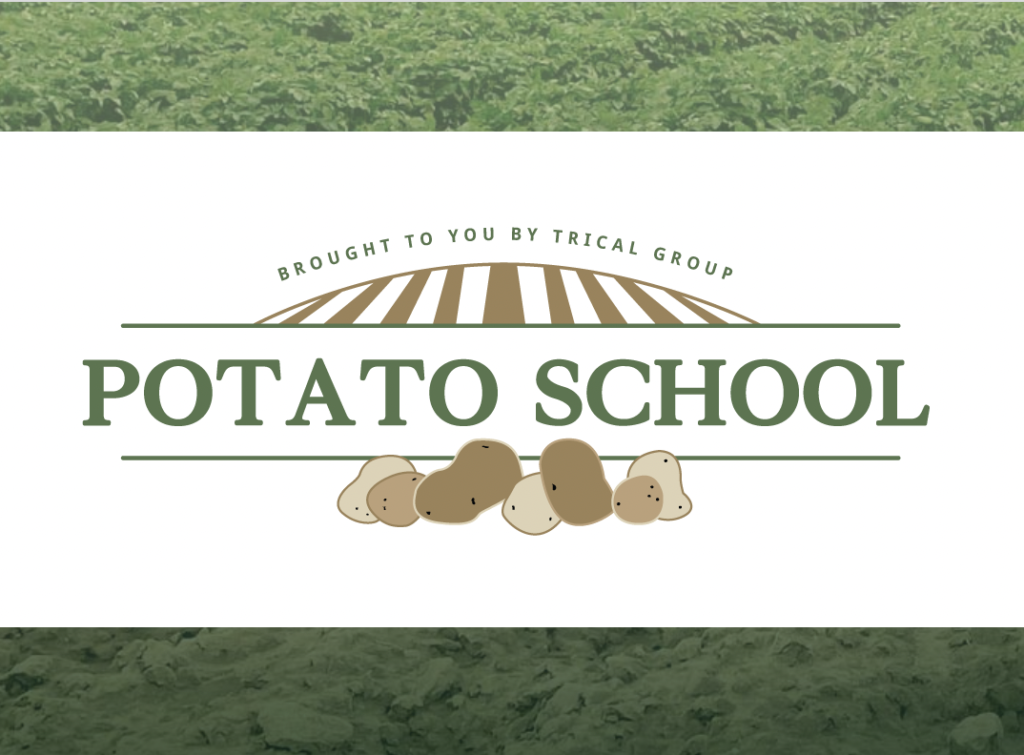 Potato School Is It On Your Calendar? Strike Fumigants