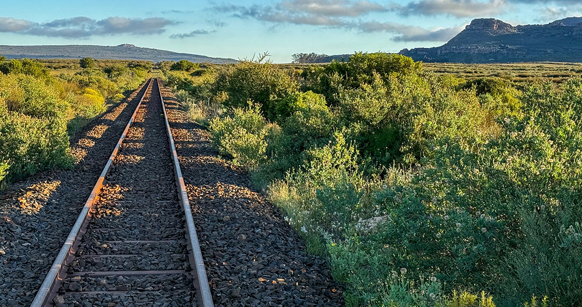 From South Africa to Canada: Four Lessons on Soil Fumigation