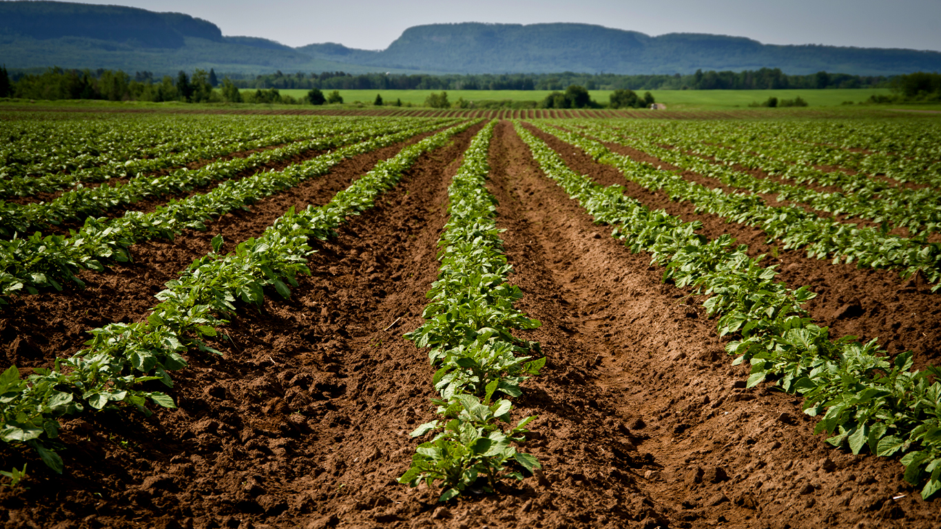 What Are Your Seed Decisions Really Costing You?