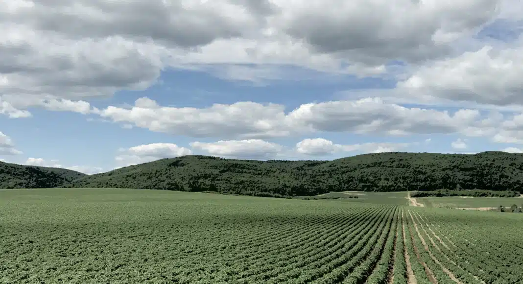 Is Your Field Getting “Tired”?