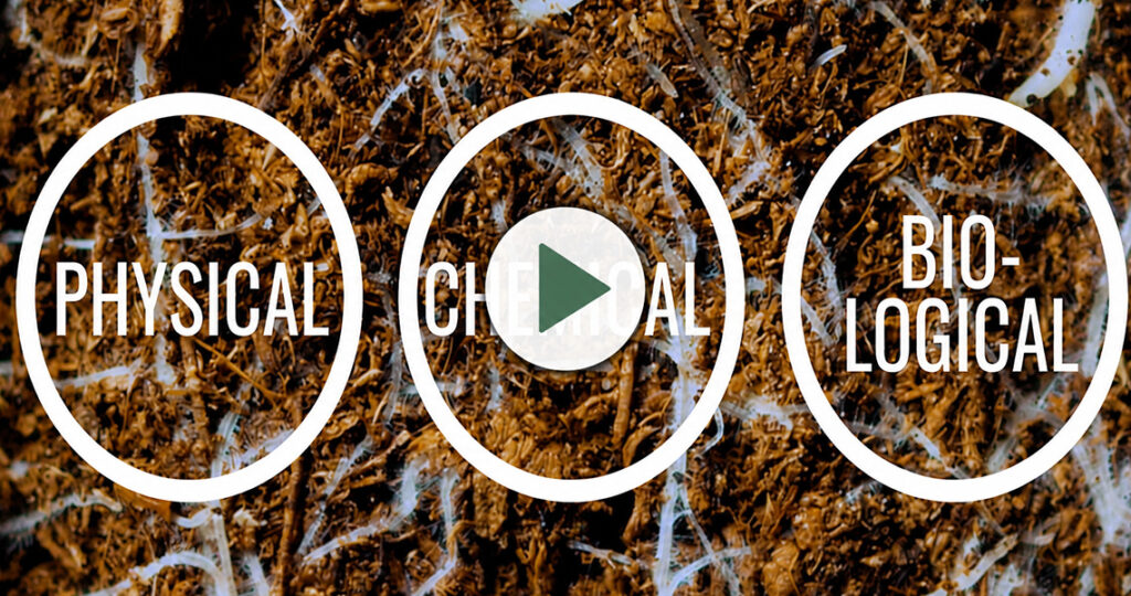 What Is Really Happening in Your Soil?